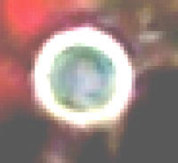 Mystery Ghost amongst thousands of orbs LIVE Capture on CCTV