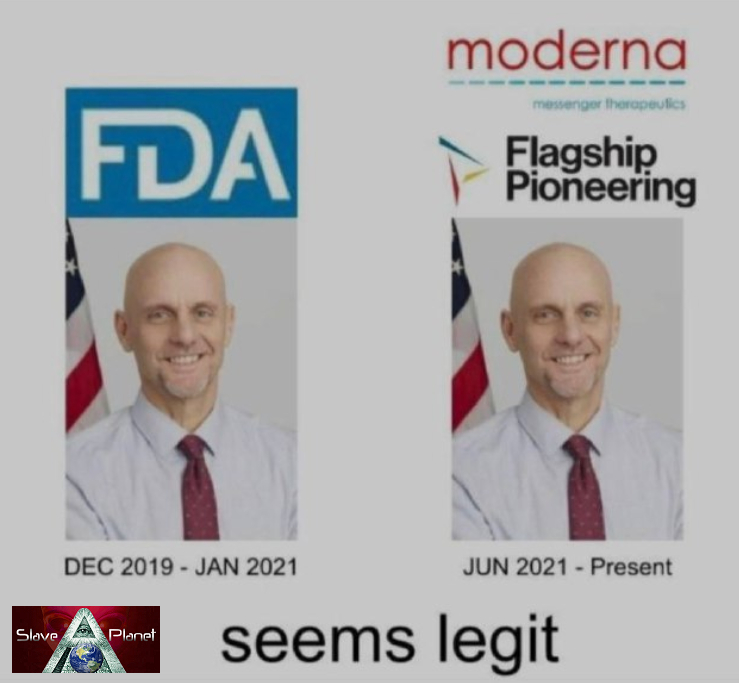 FDA Moderna Fiddle