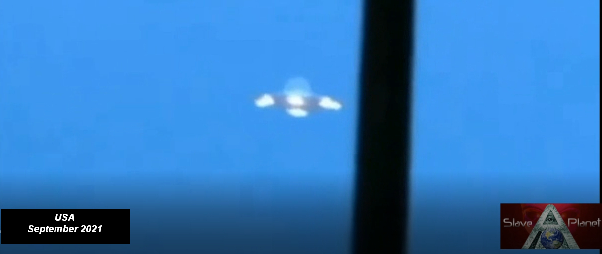 GREAT UK Mystery 1500 Sheep Stole by UFO in Lincolnshire FILM